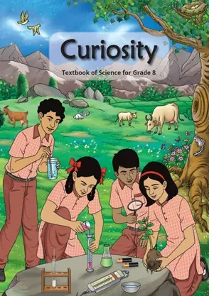 Curiosity (VIII)